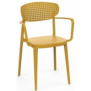 Jídelní židle AIRE ARMCHAIR Žlutá obraz