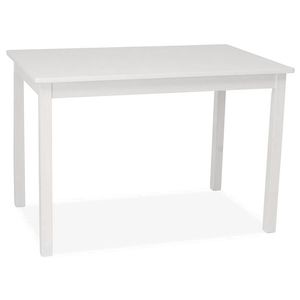 Jídelní stůl REBER 80x60 cm, bílá obraz