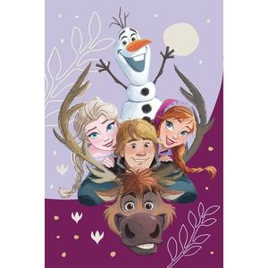 Jerry Fabrics Dětská deka Frozen Family 03, 100 x 150 cm obraz