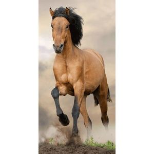 Jerry Fabrics Osuška Horse brown, 70 x 140 cm obraz