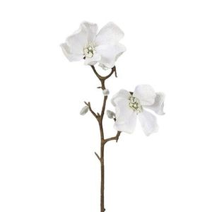 Umělá zasněžená Magnolie bílá, 49 cm obraz