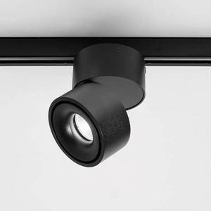 Egger Licht Egger Clippo LED lištová bodovka dim-to-warm černá obraz