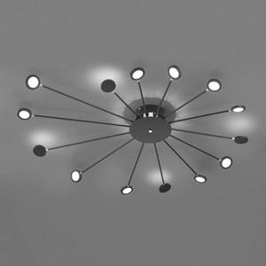Trio Lighting LED stropní svítidlo Peacock, 15 zdrojů, černá obraz