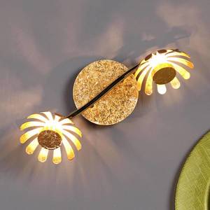 Eco-Light LED nástěnné svítidlo Bloom 2 zdroje zlaté obraz
