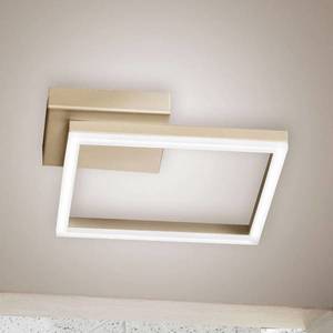 Fabas Luce LED stropní světlo Bard, 27x27cm, matná zlatá obraz