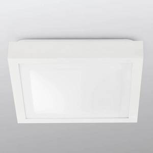 FARO BARCELONA Koupelnové stropní světlo Tola, 32 x 32 cm, bílá obraz