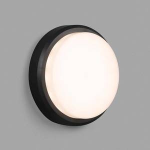 FARO BARCELONA LED venkovní nástěnné světlo Tom XL IK10 šedá/bílá obraz