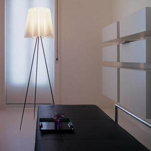 FLOS FLOS Rosy Angelis - stojací lampa, stříbrný rám obraz