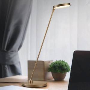 Knapstein LED-stolní lampa Thea-T, bronz obraz