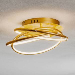 Globo Barna - LED stropní svítidlo ve zlatém designu obraz