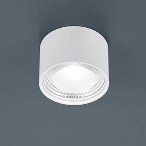 Helestra Helestra Kari LED stropní světlo, kulaté, bílá obraz