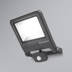 LEDVANCE LEDVANCE Endura Floodlight senz. LED reflektor 50W obraz