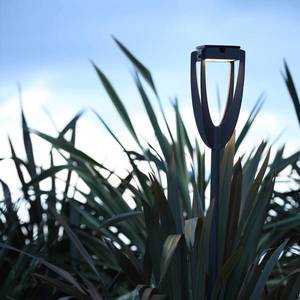 Les Jardins LED solární světlo Tulip se zemním hrotem antracit obraz