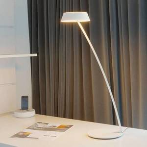 Oligo OLIGO Glance LED stolní lampa oblouk bílá matná obraz