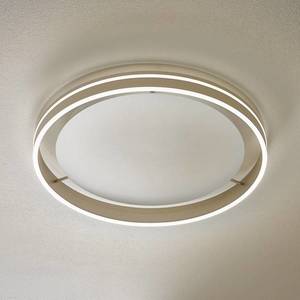 Q-Smart-Home Paul Neuhaus Q-VITO LED stropní světlo 59cm ocel obraz