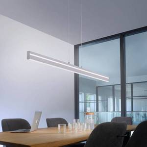 Q-Smart-Home Paul Neuhaus Q-VITO trámové závěsné světlo, ocel obraz