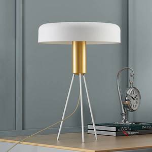 Lucande Lucande Filoreta stolní lampa v bílém provedení obraz
