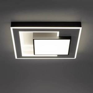 Q-Smart-Home Paul Neuhaus Q-Alta LED stropní světlo, 55x55cm obraz