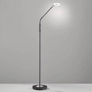 FISCHER & HONSEL LED stojací lampa Dent stmívací CCT, 1 zdroj černá obraz