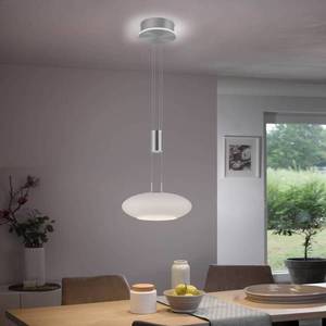 Q-Smart-Home Paul Neuhaus Q-ETIENNE LED závěsné světlo 1 zdroje obraz