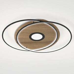 Q-Smart-Home Paul Neuhaus Q-AMIRA LED stropní světlo ovál hnědá obraz