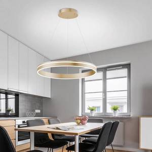 Q-Smart-Home Paul Neuhaus Q-VITO LED závěsné světlo, 1 kruh obraz