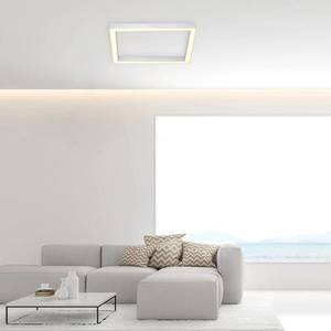 PURE Paul Neuhaus Pure-Lines LED stropní čtverec hliník obraz