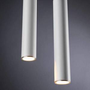 Paulmann Paulmann URail Catalejo LED závěsné světlo, bílá obraz