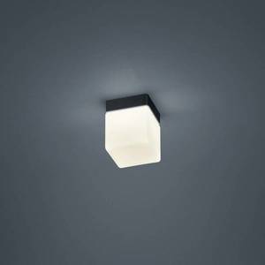 Helestra Helestra Keto LED stropní světlo, krychle, černá obraz