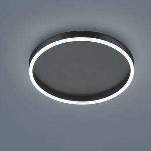 Helestra Helestra Sona LED stropní světlo, černá, Ø 40 cm obraz