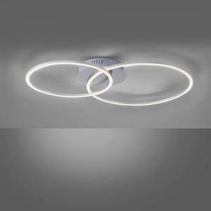 JUST LIGHT. LED stropní svítidlo Ivanka, dva kruhy, ocel obraz