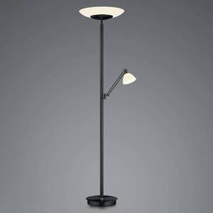 HELL LED stojací lampa Findus, 2 zdroje, černá obraz