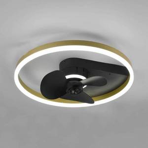 Reality Leuchten Stropní ventilátor Borgholm s LED, CCT, černá obraz