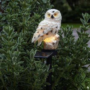 STAR TRADING LED solární světlo Owl se zapichovacím hrotem obraz