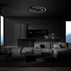 Briloner LED stropní světlo Nico Duo, 3 000K, kulaté, černá obraz