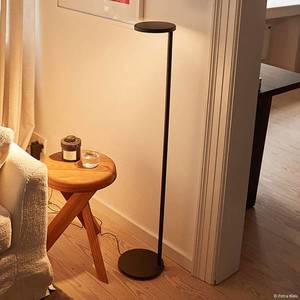 FLOS FLOS Oblique Floor LED stojací lampa, 927 antracit obraz