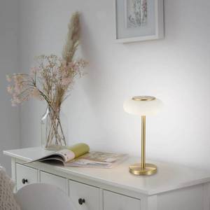 Q-Smart-Home Paul Neuhaus Q-ETIENNE LED stolní lampa, mosaz obraz