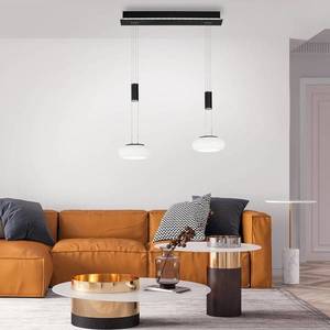 Q-Smart-Home Paul Neuhaus Q-ETIENNE LED závěsné světlo 2x černá obraz