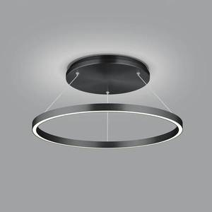 Knapstein LED závěsné světlo Lisa-D, kruhové, černá obraz