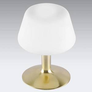 Paul Neuhaus Till - malá LED stolní lampa s mosaznou nohou obraz