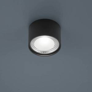 Helestra Helestra Kari LED stropní světlo, kulaté černá obraz