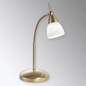 Paul Neuhaus Mosazná LED stolní lampa Pino se stmívačem obraz
