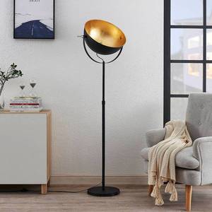 Lindby Stojací lampa Muriel, 1zdrojová, černá/zlatá obraz