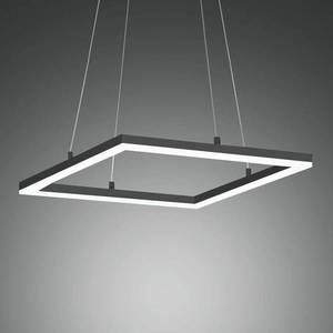 Fabas Luce LED závěsné světlo Bard 42x42 cm, antracit obraz