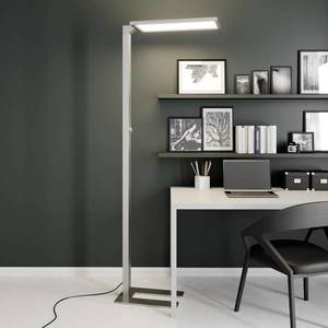 PRIOS Prios Lexo LED kancelářská stojací lampa, stmívač obraz