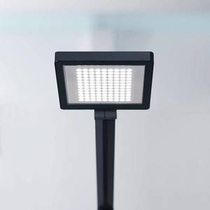 Waldmann LED stolní lampa PARA.MI FTL 108 R černá 930 obraz