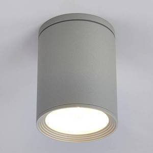 Lucande Venkovní stropní reflektor Minna, stříbrně šedý obraz
