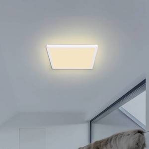 Globo LED stropní světlo Sapana, hranaté, stmívací, bílá obraz
