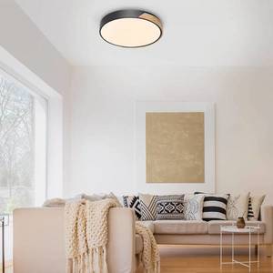 Q-Smart-Home Paul Neuhaus Q-BILA LED stropní světlo, černá/dub obraz