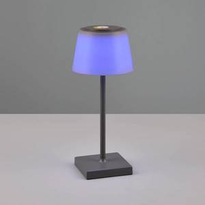 Reality Leuchten LED stolní lampa Sanchez, RGBW a stmívač, antracit obraz